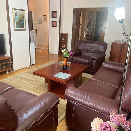 Family Apartment Ivanovic سكوبجي المظهر الخارجي الصورة