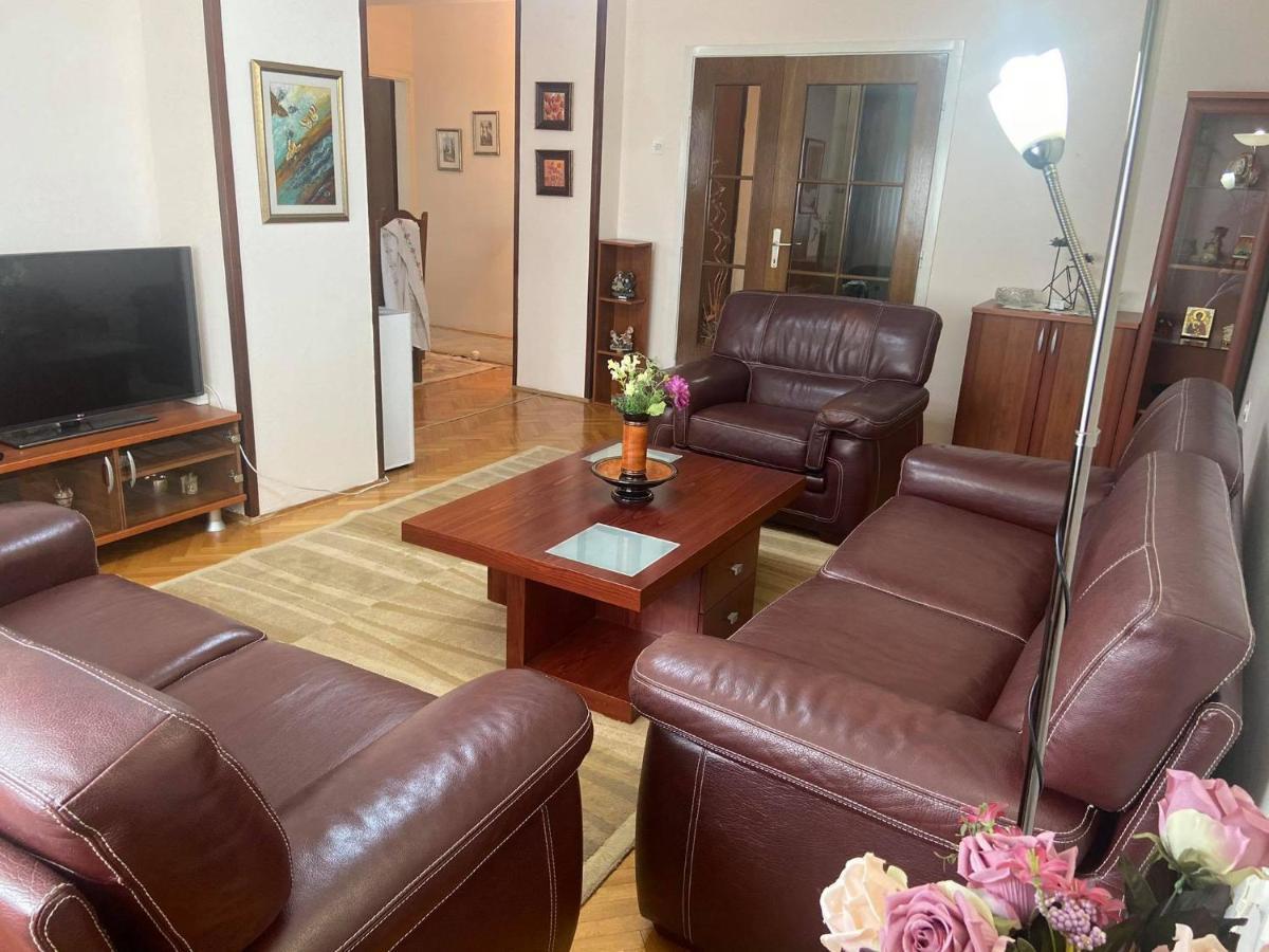 Family Apartment Ivanovic سكوبجي المظهر الخارجي الصورة