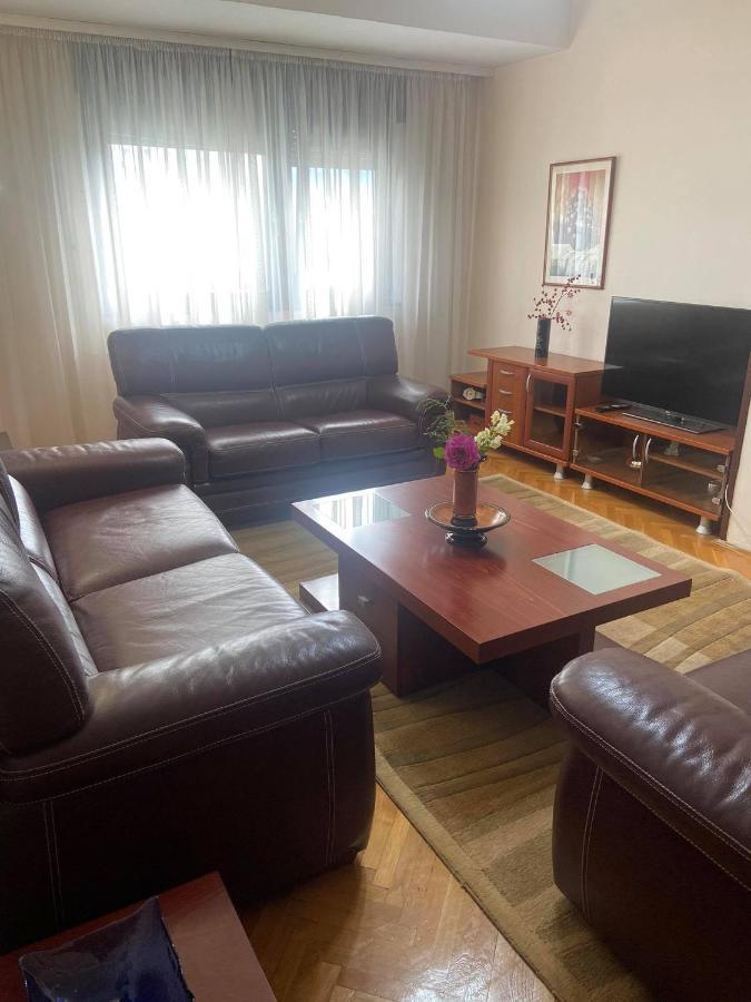 Family Apartment Ivanovic سكوبجي المظهر الخارجي الصورة