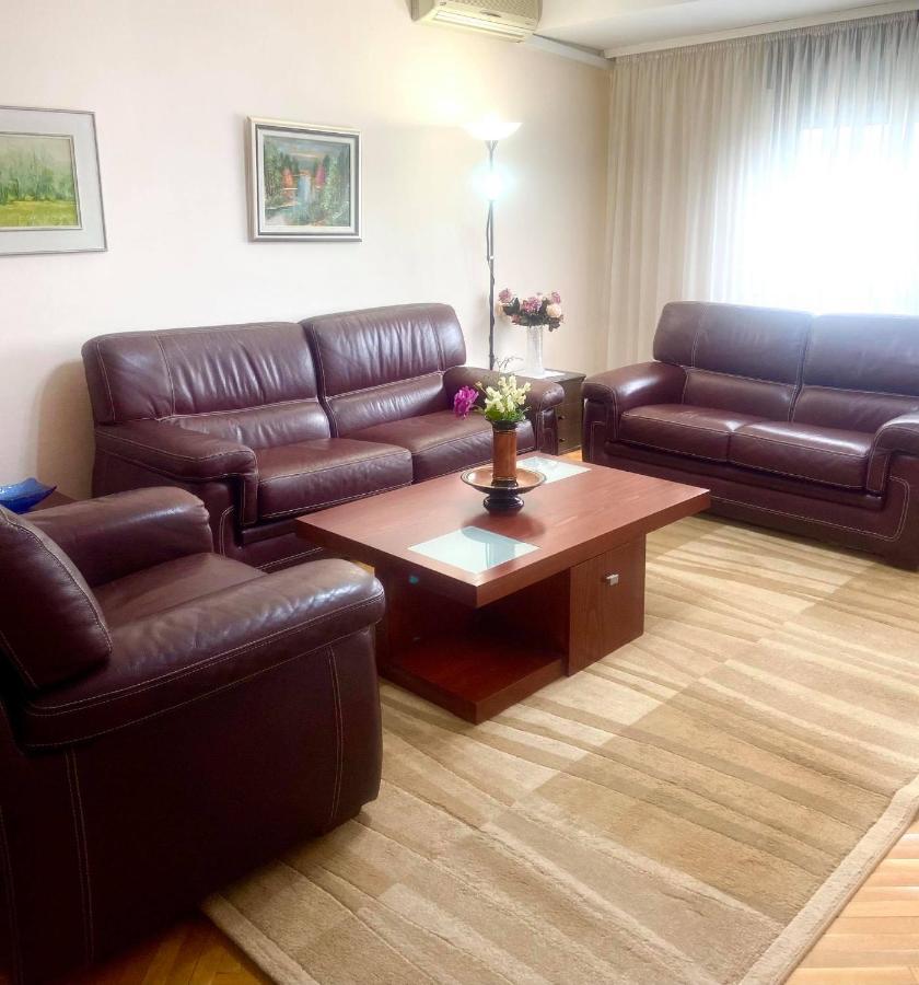 Family Apartment Ivanovic سكوبجي المظهر الخارجي الصورة