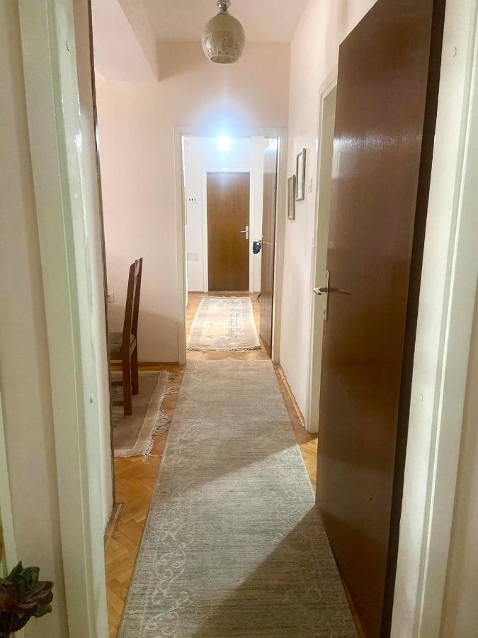 Family Apartment Ivanovic سكوبجي المظهر الخارجي الصورة