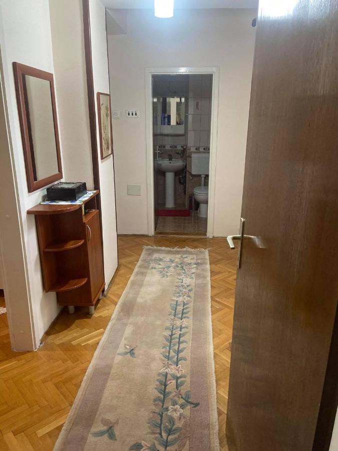 Family Apartment Ivanovic سكوبجي المظهر الخارجي الصورة