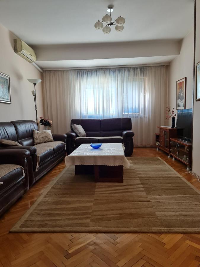 Family Apartment Ivanovic سكوبجي المظهر الخارجي الصورة